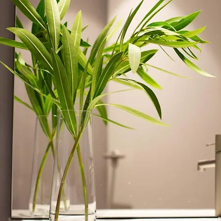 Spacest - Carrer De Bèlgica A Appartement